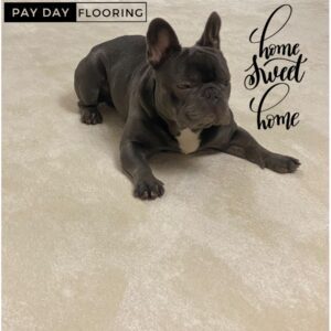 Pay Weekly Flooring in Colchester Essex, Looking to update your home ? apply today on 01206692360 pay weekly.